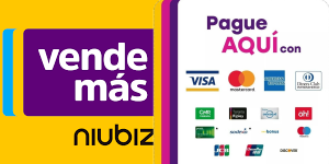 paga con niubiz vende mas - Apolo Cargo paga con niubiz vende mas - Apolo Cargo
