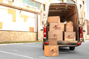 Apolo Cargo Envío local